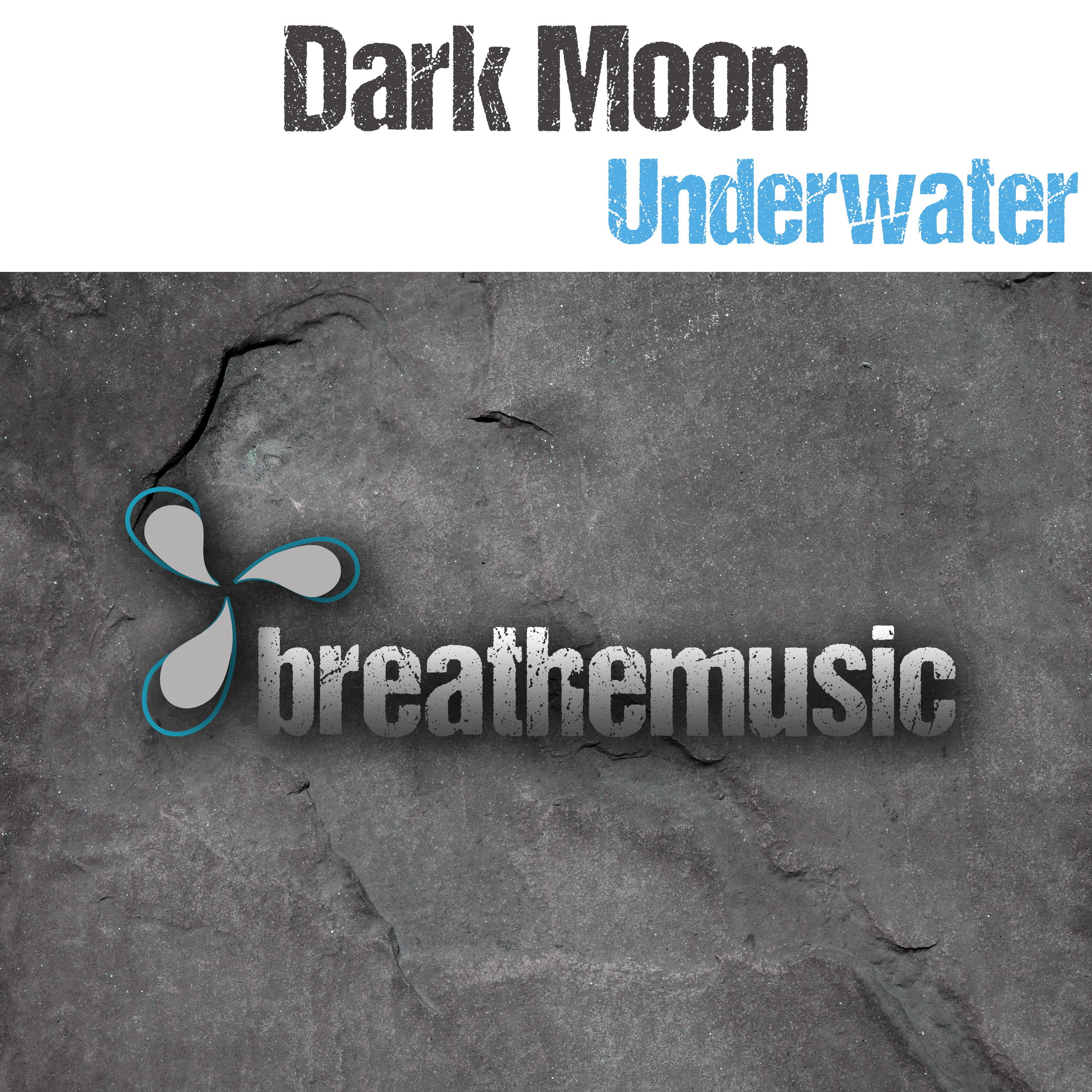 Dark Moon - Underwater Image